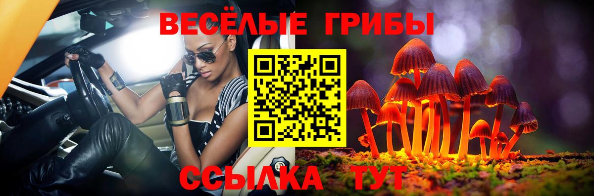 Липецк  Галлюциногенные грибы прущие грибы  Вход с VPN  Галлюциногенные грибы Cubensis 